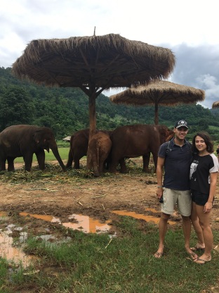Elephant santctuary in Chiang Mai